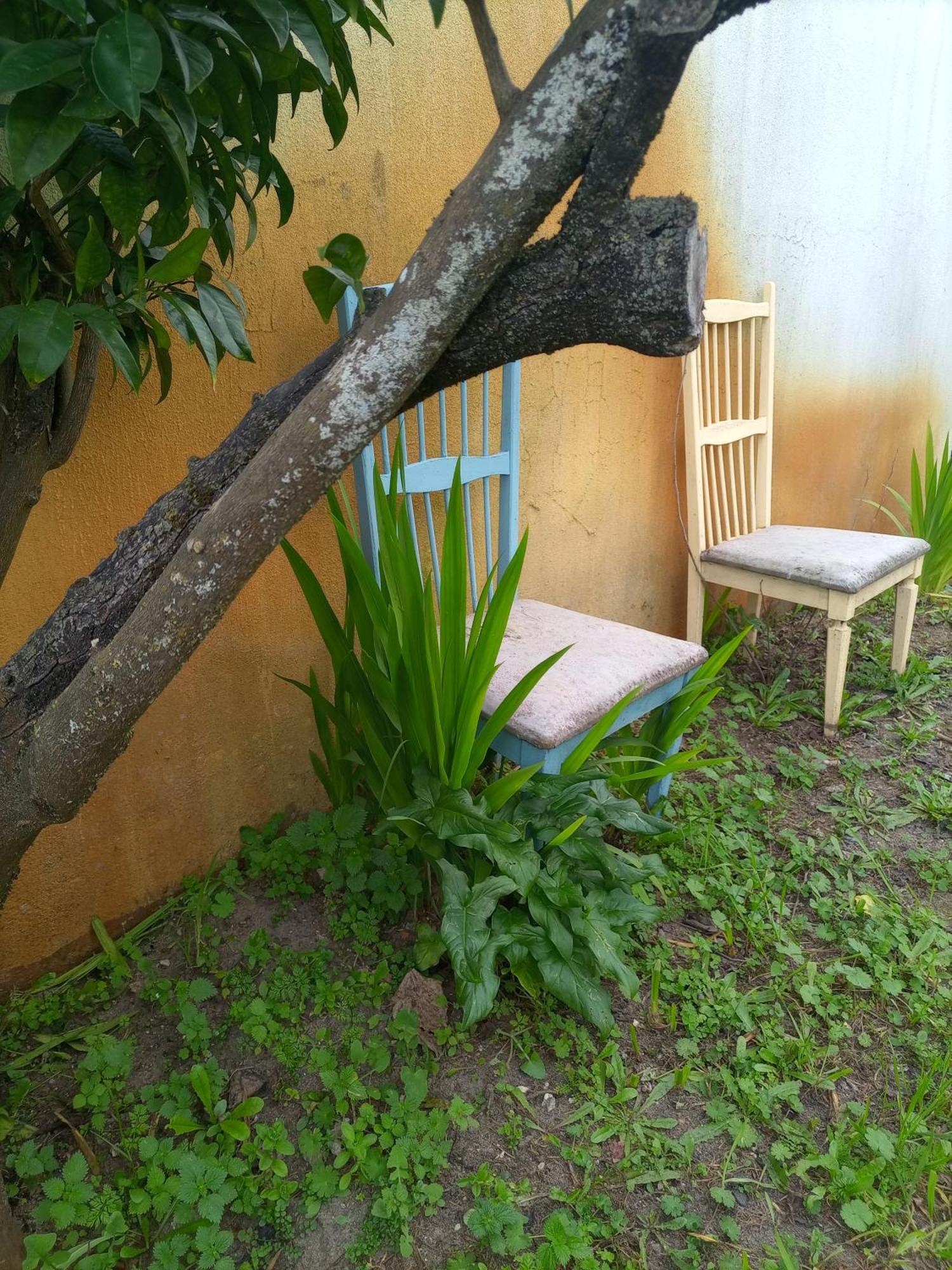 Villa O Mundo Da Lua Azeitão Exterior foto