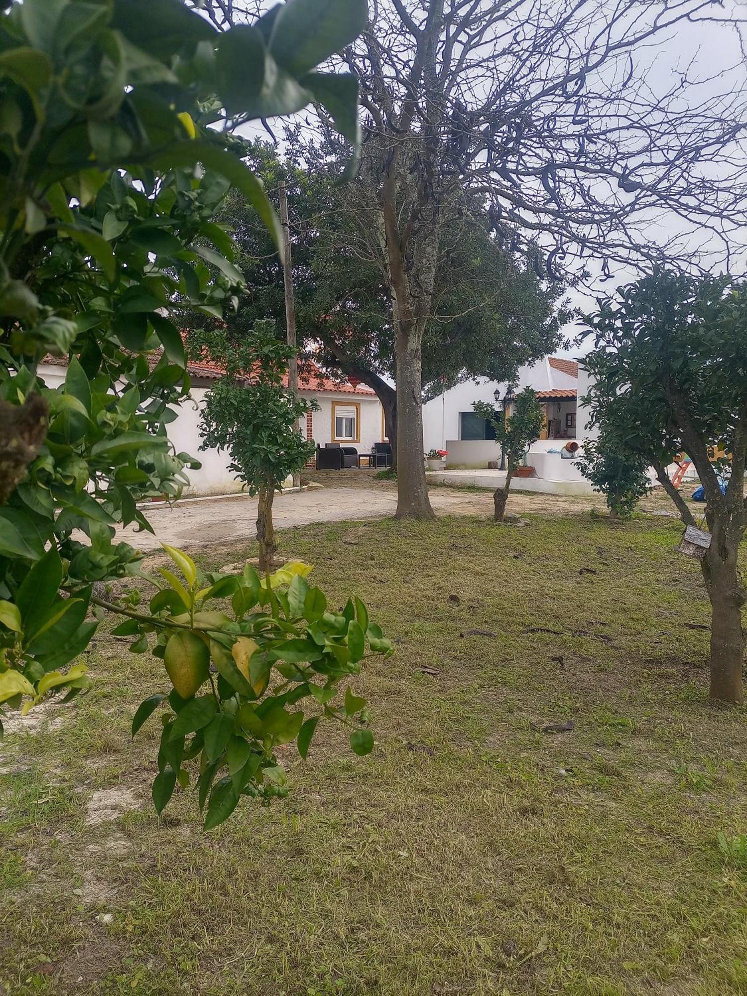 Villa O Mundo Da Lua Azeitão Exterior foto