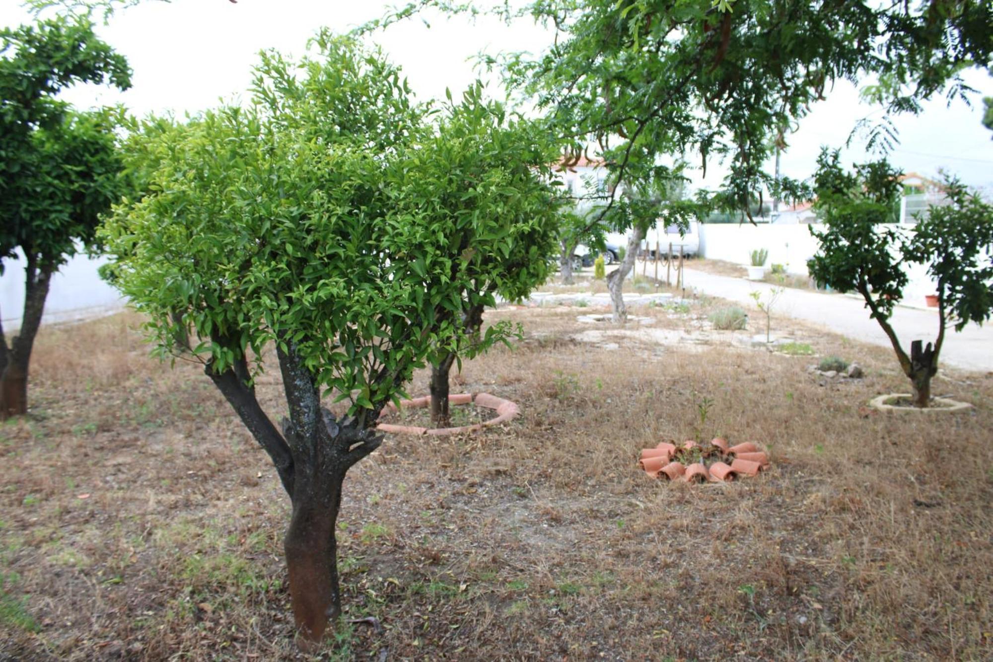 Villa O Mundo Da Lua Azeitão Exterior foto